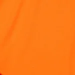 9513719.webp